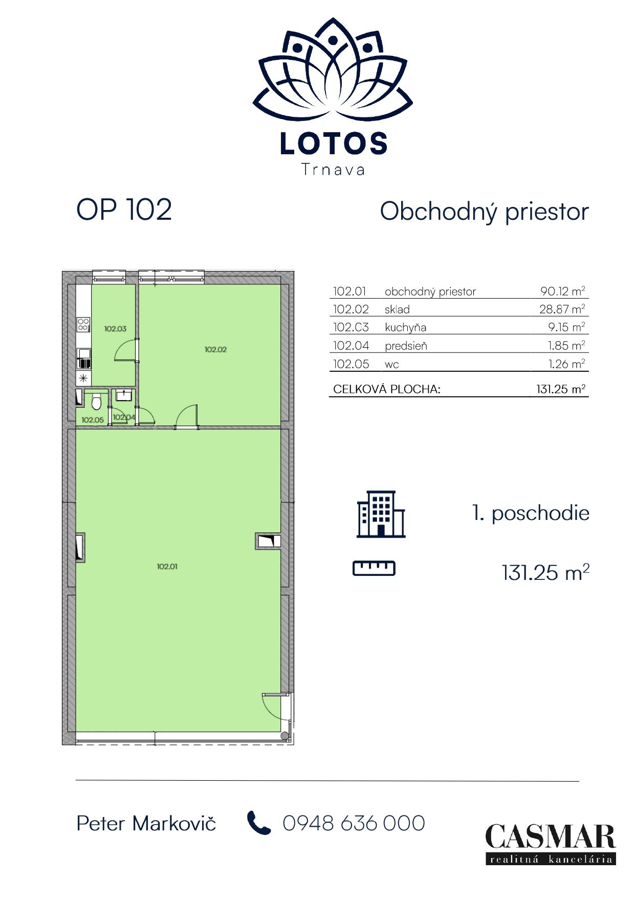 1NP - Obchodný priestor 102